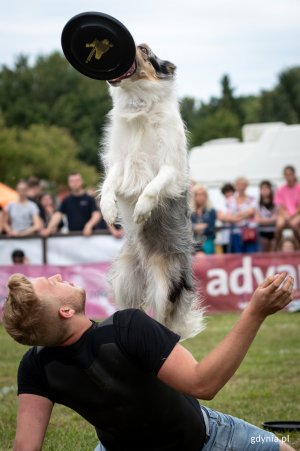 „Latające Psy” w Gdyni // fot. Dawid Linkowski