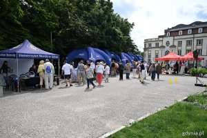 Piknik Europejski na Placu Wolnej Ukrainy w Gdyni (fot. Michał Puszczewicz)