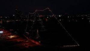 Choinka na Darze Młodzieży // fot. Gdynia.pl