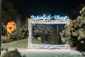 Iluminacje świetlne w Parku Centralnym (fot. Paweł Budziński)