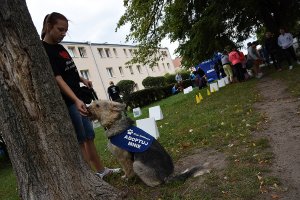Otwarcie wybiegu na ul. Tucholskiej (Oksywie/Obłuże)