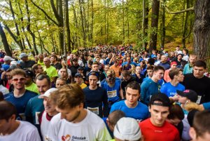 Bieg charytatywny przy II Liceum Ogólnokształcącym w Gdyni, fot. Maciej Czarniak