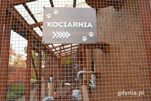 Kociarnia w „Ciapkowie” 