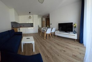 Salon z aneksem kuchennym w obiekcie Apartament na Obłużu