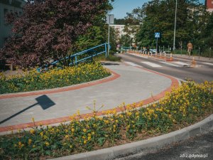 nowy chodnik na ul. Korzennej, widoczna jezdnia oraz zieleń