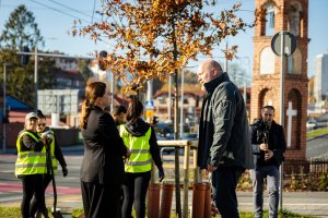 Nasadzenia nowych drzew przy ul. Wielkopolskiej i ul. Chwaszczyńskiej. Na zdjęciu prezydent Gdyni Aleksandra Kosiorek, obok Tadeusz Schenk, miejski ogrodnik (fot. Kamil Złoch)