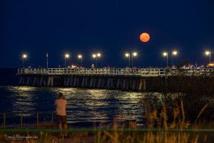 fot. Daniel Pietrzykowski (z naszej facebookowej grupy „Gdynia w obiektywie”)