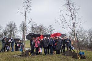Przedstawiciele pomorskich szkół na kampusie Politechniki Gdańskiej obok posadzonych Drzew Talentów 