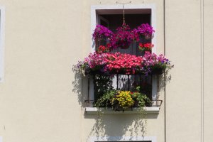 Okno z balkonem z mnóstwem kwiatów w różnych odcieniach różu i czerwieni. Autor: Wacław Surdel, dzielnica Kamianna Góra