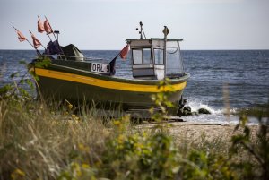 Na pierwszym planie: plaża i roślinnośc. Na drugim planie: kuter rybacki i morze. 