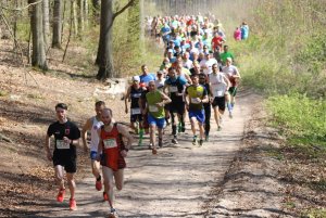 Zawodnicy na trasie Grand Prix w Biegach Górskich 2016 // fot. Marcin Richert