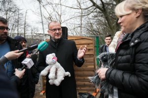 W Gdyni powstał nowy dom dla kotów // fot. Karol Stańczak