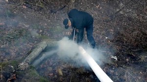 fot. materiały Straży Miejskiej w Gdyni