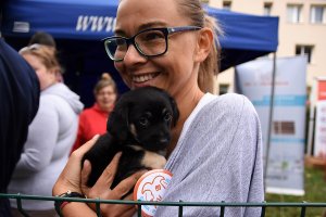 Otwarcie wybiegu na ul. Tucholskiej (Oksywie/Obłuże)
