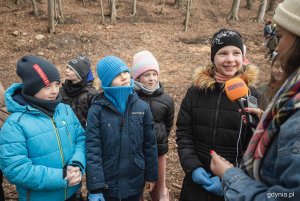 Nasadzenia drzew przy ul. Witomińskiej, fot. Kamil Złoch