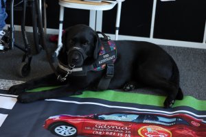 Delicja cierpliwie bierze udział w zajęciach z dostępności 