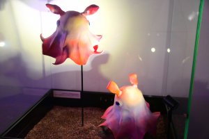 Wystawa "Tajemnice Głębin" w Centrum Nauki Experyment