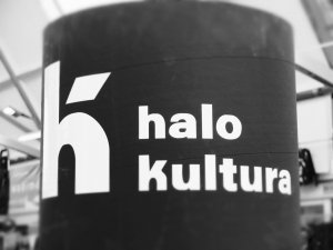 Wielkie Halo 2 w Miejskich Halach Targowych // fot. Stowarzyszenie Halo Kultura