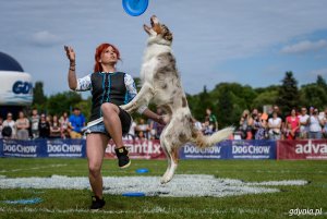 Zawody Latających Psów 2017 - Park Kolibki, Gdynia // fot.Dawid Linkowski