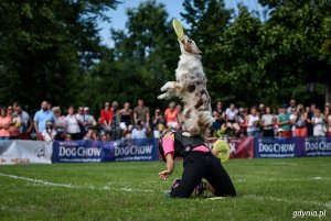 Zawody Latających Psów 2017 - Park Kolibki, Gdynia // fot.Dawid Linkowski