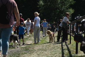 „Latające psy” w parku w Kolibkach - dzień pierwszy (sobota), fot. Kamil Złoch