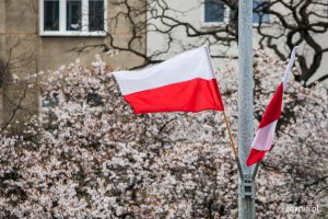 Biało-czerwone flagi powiewające na jednej z gdyńskich ulic // fot. Karol Stańczak