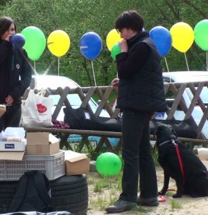 Psie fikołki - festyn edukacyjny "Pies w wielkim mieście" 13.05.2012