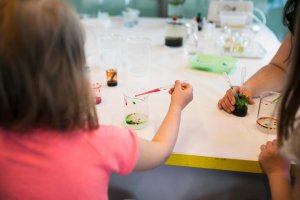 Majówka w Experymencie przebiega pod znakiem odkrywania morskiego świata // fot. Karol Stańczak