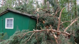 Harcerski Obóz w Czernicy po nawałnicy z 11.08 // fot. Piotr Kropidłowski