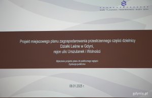 plansza z napisem  projekt miejscowego planu zagospodarowania przestrzennego części dzielnicy Działki Leśne rejon ul. Urszulanek i Wolności