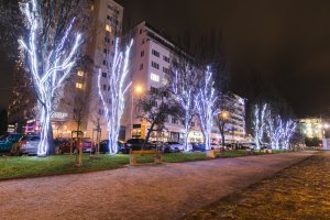 Gdynia rozbłysła na Święta tysiącami światełek // fot.Karol Stańczak