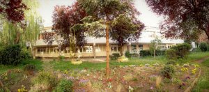 Szkoła Podstawowa nr 21 w Gdyni (fot. archiwum szkoły)