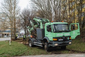 To tutaj, na terenie zielonym przy ulicy Konwaliowej - przysłowiowy rzut beretem od poprzedniej lokalizacji - będzie teraz rosło 10 młodych, ale już dorosłych drzew ze skrzyżowania w centrum Witomina, fot. Kamil Złoch