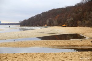 Plaża, w tle spychacze i las.