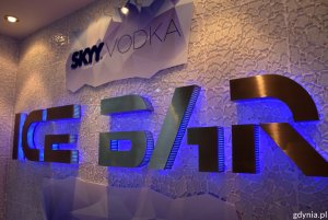 Pasażerowie mają do wyboru prawie 30 restauracji i barów, bibliotekę, kino, kasyno, galerię, teatr, a także ogromną ofertę sportową i SPA/fot. Dorota Nelke