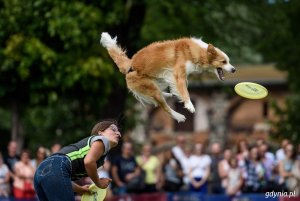 Zawody Latających Psów 2017 - Park Kolibki, Gdynia // fot.Dawid Linkowski