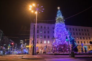 Choinka przed gdyńskim Ratuszem, fot. Karol Stańczak