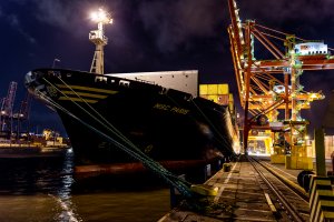 MSC Paris, fot. BCT Gdynia