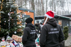 Finał akcji „Zwierzęta też chcą mieć święta” w gdyńskim Ciapkowie, fot. Karol Stańczak