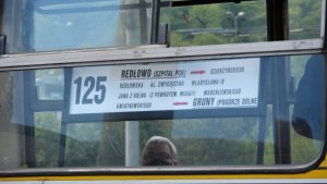 Ikarus uczcił 60 lat funkcjonowania linii 125 w Gdyni // fot. Sławomir Okoń