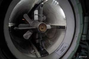 Torpeda w wyrzutni - jeden z eksponatów na „Sokole” 