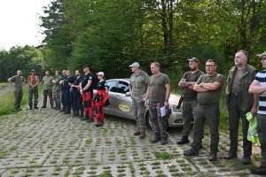 ludzie chodzą po lesie