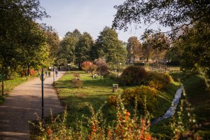 Jesień w Gdyni. Park Kiloński // fot. Karol Stańczak 