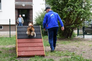 Otwarcie wybiegu na ul. Tucholskiej (Oksywie/Obłuże)