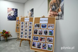 Jedno z pomieszczeń w nowym budynku biurowo-administracyjnego w „Ciapkowie” 
