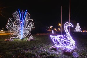 Gdynia rozbłysła na Święta tysiącami światełek // fot.Karol Stańczak