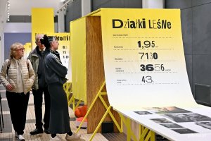 Uczestnicy wernisażu wystawy &bdquo;Gen 100 &ndash; gdyński kod wsp&oacute;lnoty&rdquo; oglądający ekspozycję w Muzeum Emigracji 