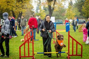 Psie Fikołki 11.10.2014