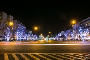 Świąteczne iluminacje na drzewach na skwerze Kościuszki // fot. Karol Stańczak