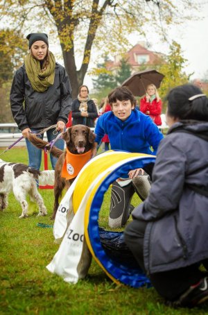 Psie Fikołki 11.10.2014